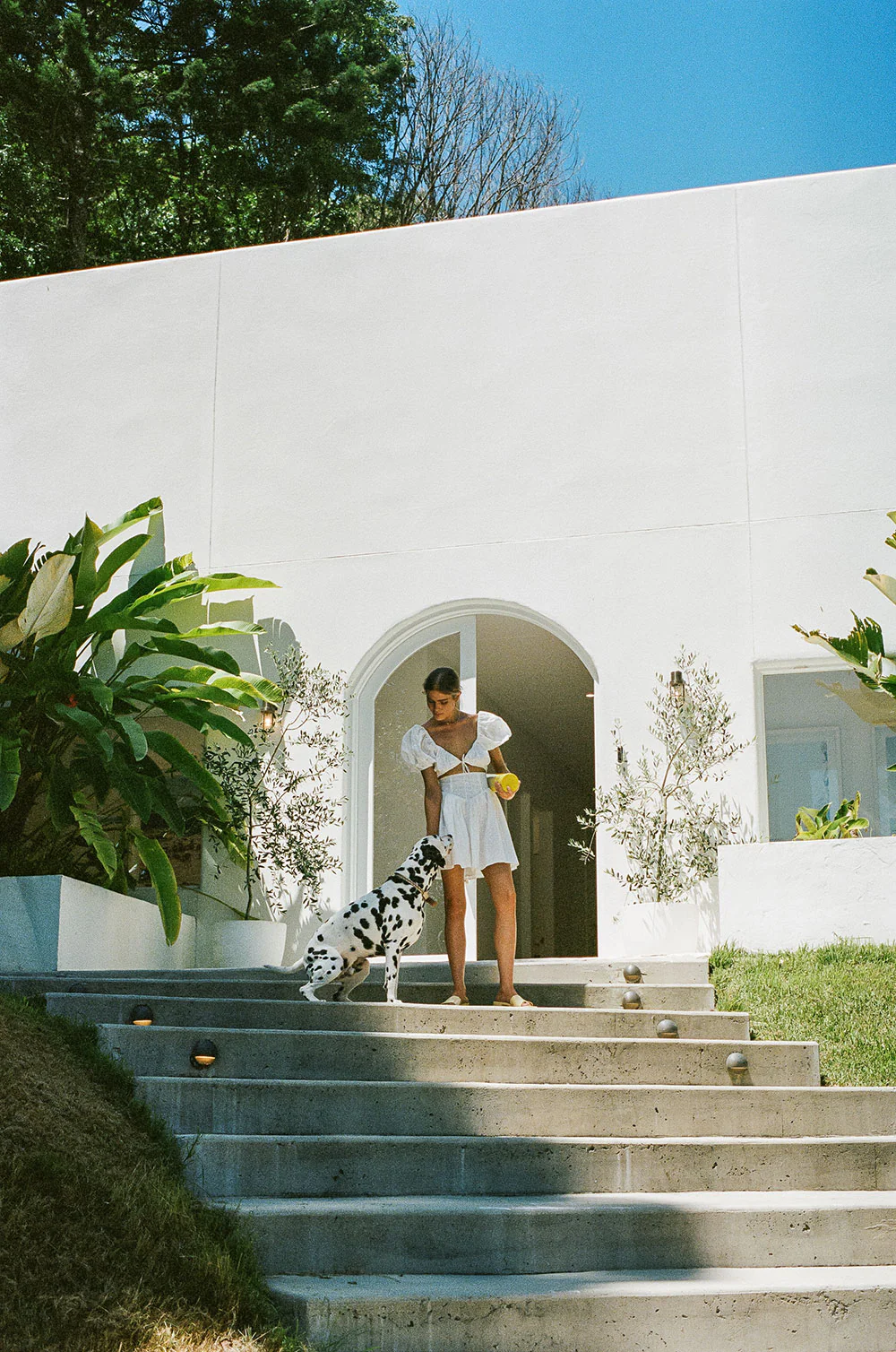 SAMPLE-Alika Dress - Image 6