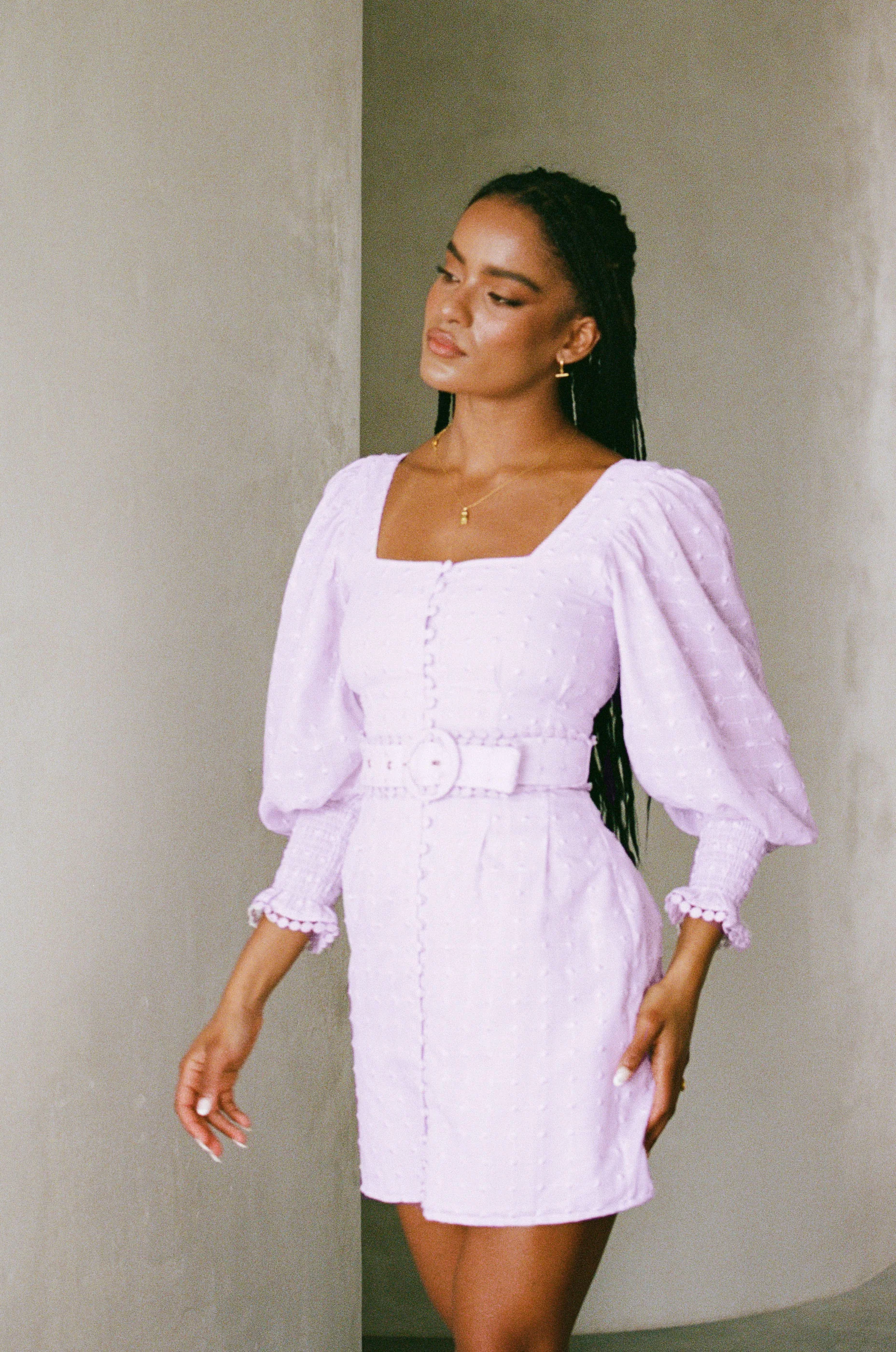 SAMPLE-Belted Larose Dress - Image 3